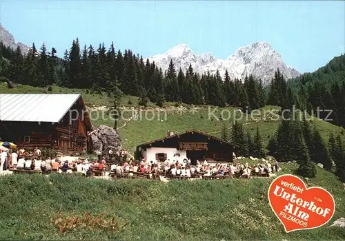 Filzmoos Unterhof Alm Bischofsmuetze Torsten Kat. Filzmoos