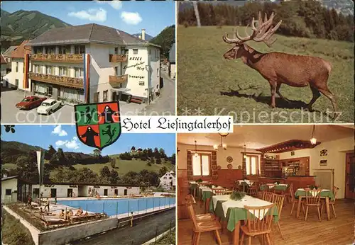 Mautern Steiermark Hotel Liesingtalerhof Kat. Mautern in Steiermark