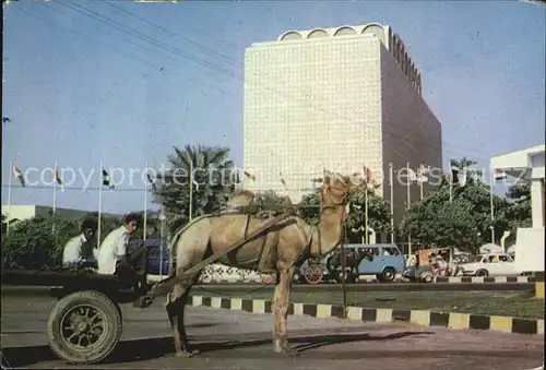 Karachi Camel Cart Kat. Karachi