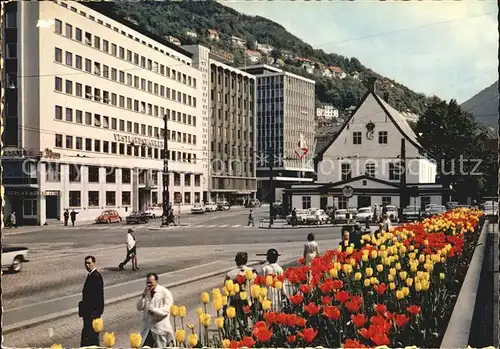 Bergen Norwegen Det gamle Radhuset Altes Rathaus Tulpen Kat. Norwegen