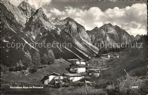 Herzebenalm Pinnistal Alpe Kat. Oesterreich