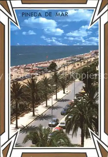 Pineda de Mar Strand Palmen Kat. Spanien