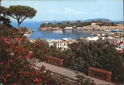 Ischia Isola Hafen Panorama Kat. 