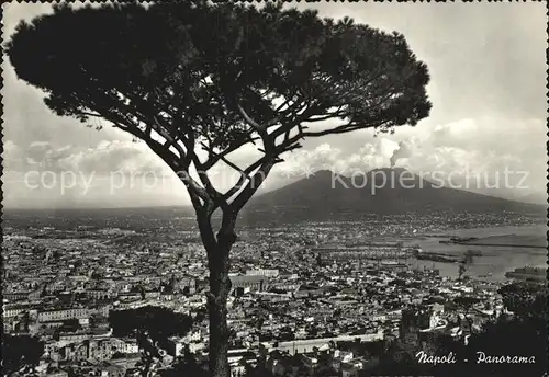 Napoli Neapel Panorama Kat. Napoli