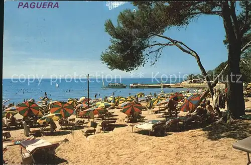 Paguera Mallorca Islas Baleares Strand Kat. Calvia