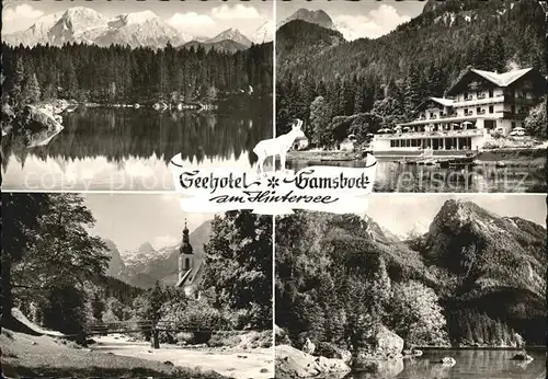 Hintersee Berchtesgaden Seehotel Gamsbock Teilansichten Kat. Berchtesgaden