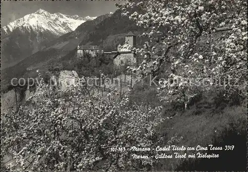 Meran Merano Schloss Tirol mit Zielspitze Texelgruppe Baumbluete