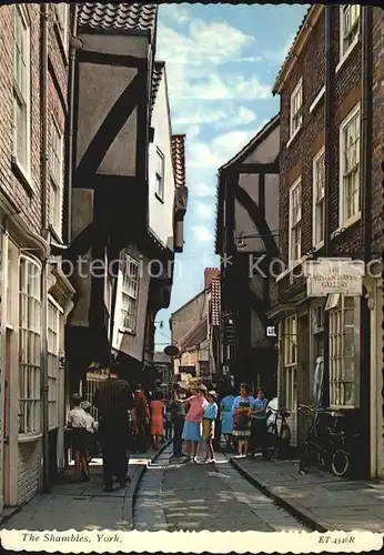 York UK The Shambles Kat. York