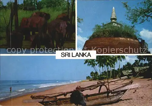 Sri Lanka Strand Kat. Sri Lanka