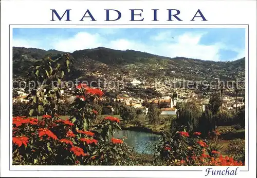 Madeira Funchal Kat. Portugal