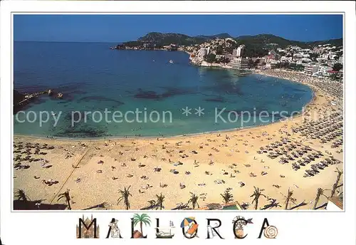 Mallorca Playa Palmira Kat. Spanien