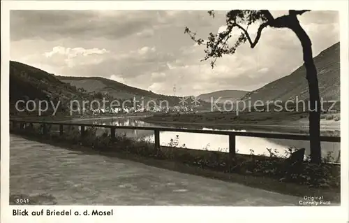 Briedel Mosel Panorama Kat. Briedel