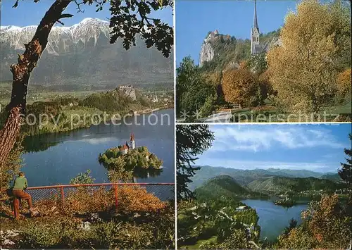 Bled Panorama Landschaft Insel Veldeser See