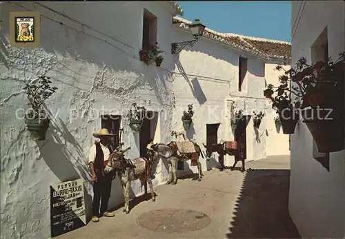 Mijas Parada de Burros Taxis Esel Lasttiere Kat. Mijas