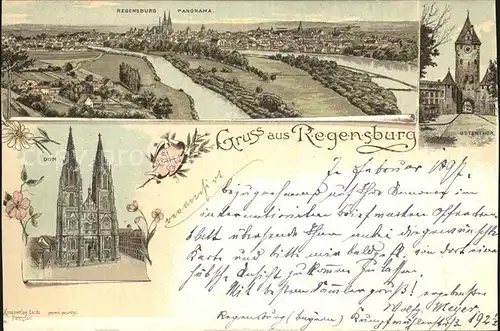 Regensburg Panorama Dom Ostentor Kat. Regensburg