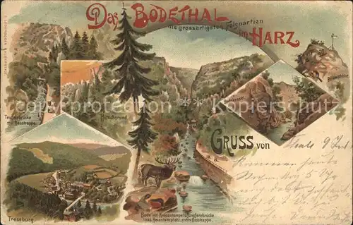 Harz Region Bodetal Treseburg Hirschgrund Teuelfsbruecke Rosstrappe 