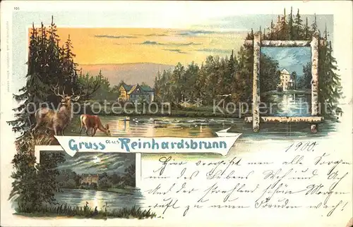 Reinhardsbrunn Hirsche Panorama See Kat. Friedrichroda