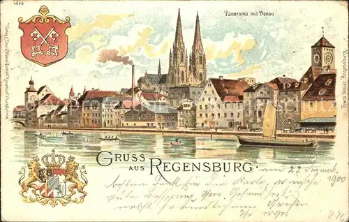 Regensburg Panorama mit Donau  Kuenstlerkarte Kat. Regensburg