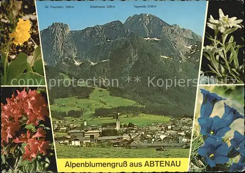 Abtenau Alpenblumengruss Tagweide Tennengebirge Kat. Abtenau