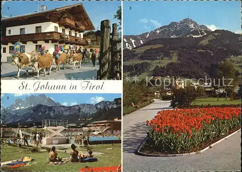 Johann Tirol Sankt Almabtrieb Kurpromenade Kitzbueheler Horn Wilder Kaiser Kat. Oesterreich