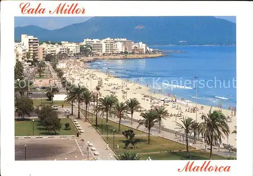Cala Millor Mallorca Strand Promenade Palmen Kat. Islas Baleares Spanien