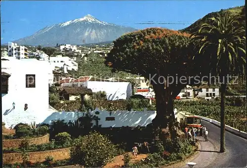 Icod de los Vinos Drago milenario y Teide Kat. Tenerife Islas Canarias Spanien