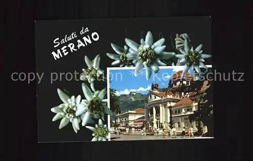 Merano Suedtirol Teilansicht Kat. Merano