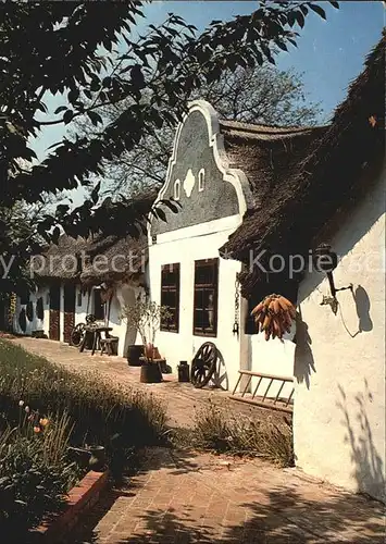 Illmitz Bauernhaus mit Barockgiebel Kat. Illmitz