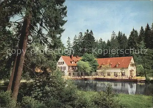 Leopoldstal Lippe Waldhotel Pension Silbermuehle Kat. Horn Bad Meinberg