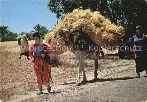 Kerkennah La Moisson Kat. Tunesien