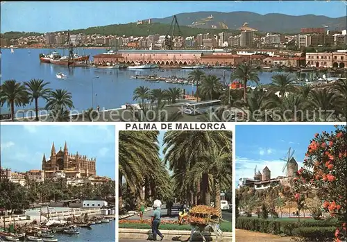 Palma de Mallorca Panorama Hafenpartie Promenade Muehlen Kat. Palma de Mallorca