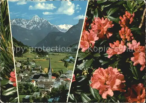 Zell Ziller Tirol Tristner Alpenrosen Kat. Zell am Ziller