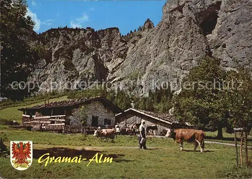 Gramaialm Kuhweide  Kat. Eben am Achensee