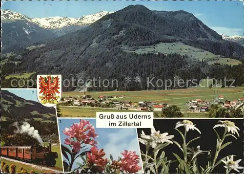 Uderns Gesamtansicht Zillertalbahn Alpenrosen Edelweiss Kat. Uderns