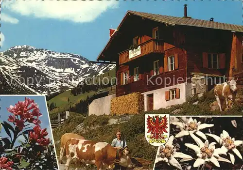 Fuegen Alpengasthof Schellenberg Kat. Fuegen Zillertal