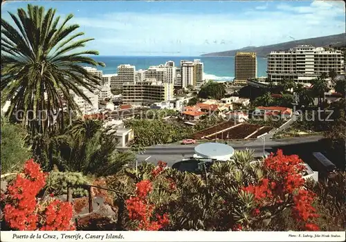 Puerto de la Cruz Panorama Hotels an der Kueste Palmen Kat. Puerto de la Cruz Tenerife