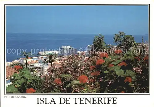 Puerto de la Cruz Panorama Meerblick Kat. Puerto de la Cruz Tenerife
