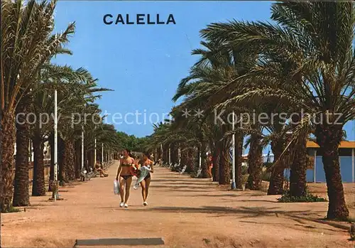 Calella de Mar Paseo Promenade Palmen