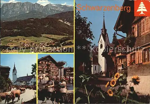 Schwarzenberg Vorarlberg Bregenzerwald Ortsansicht  Kat. Schwarzenberg