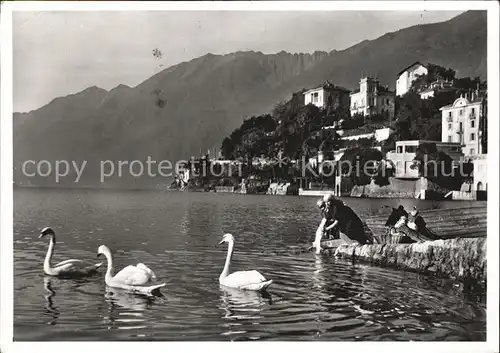 Ascona TI Panorama Kat. Ascona