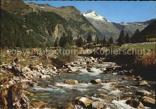 Mallnitz Kaernten Idyll am Seebachtal mit Blick auf Ankogel