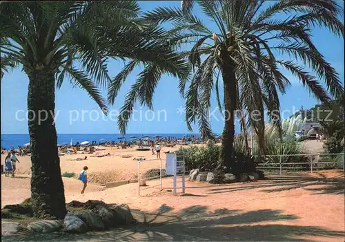 Calella Playa y Paseo Maritimo Strand Palmen Kat. Barcelona