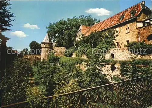 Friedberg Hessen Burg Suedseite mit Hirschgraben Kat. Friedberg (Hessen)