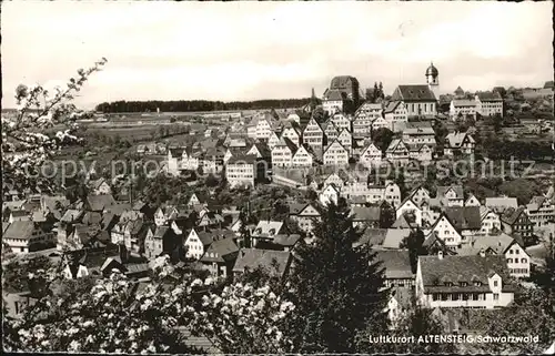 Altensteig Schwarzwald Ortsansicht mit Kirche Luftkurort Baumbluete