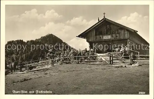 Tegernsee Aueralm mit Fockenstein Bayerische Voralpen Kat. Tegernsee