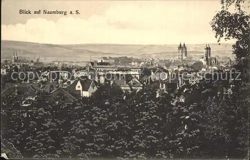 Naumburg Saale Stadtansicht Kat. Naumburg