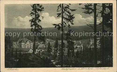 Schierke Harz Waldfrieden Brocken Scheideck Kat. Schierke Brocken