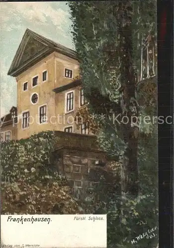 Frankenhausen Bad Fuerstliches Schloss Kuenstlerkarte Kat. Bad Frankenhausen