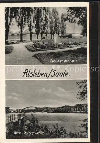 Alsleben Saale Partie an der Saale Blick von der Pregelmuehle Kat. Alsleben