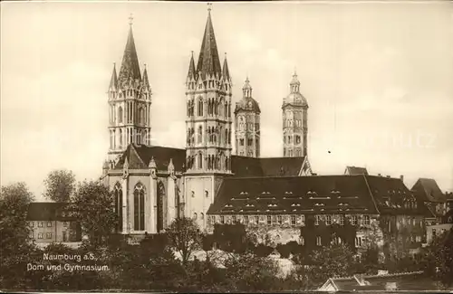 Naumburg Saale Dom Gymnasium Kat. Naumburg